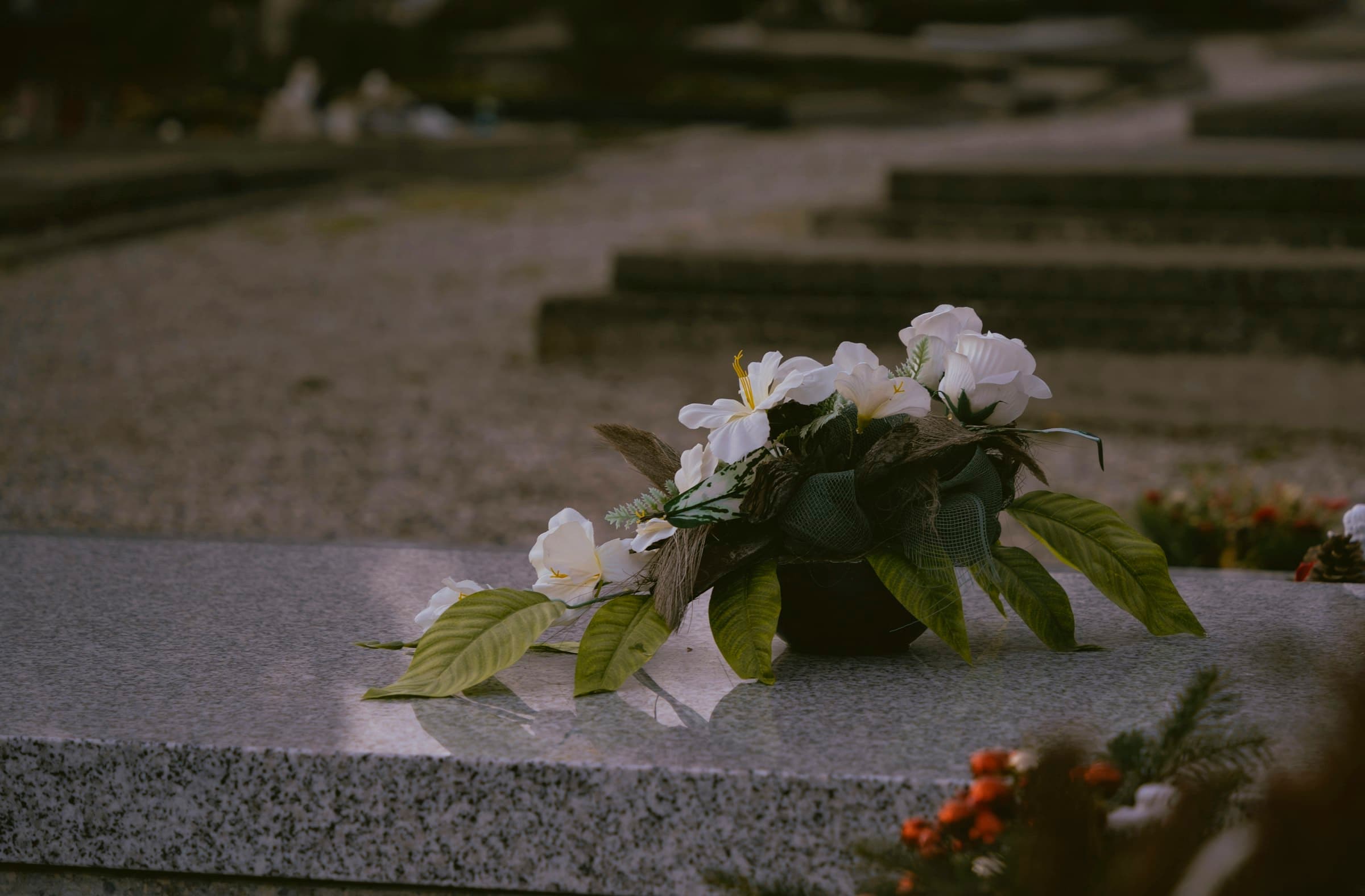 White flowers resting on a polished gray granite ledger