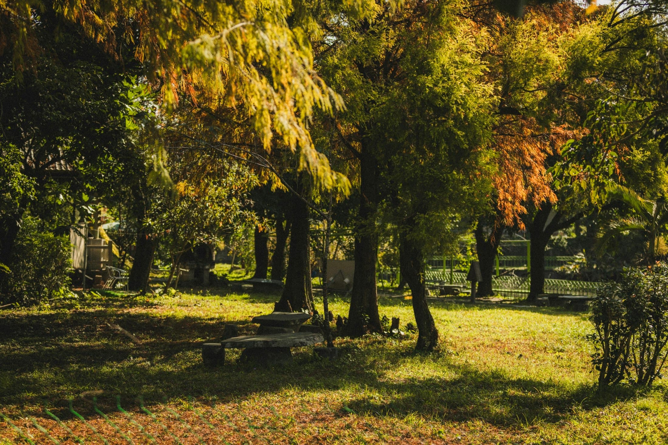 Landscaped remembrance lawn in autumn light