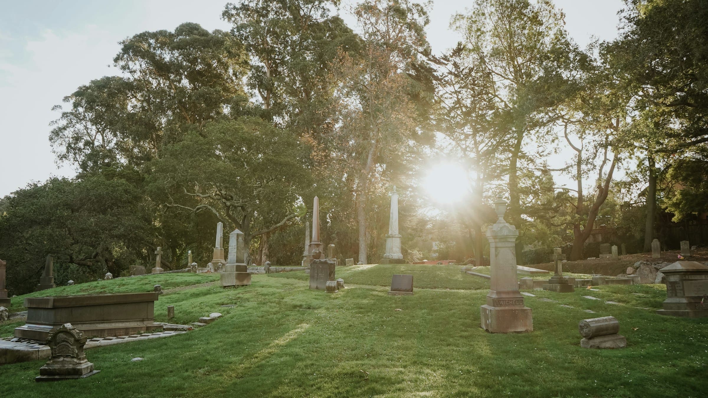 Sunlight through old trees across a historic cemetery